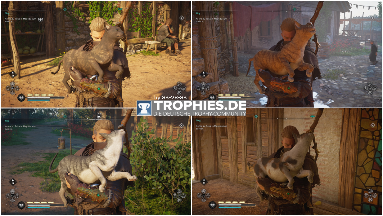 Assassins_Creed_Valhalla_Trophae_Katzen_