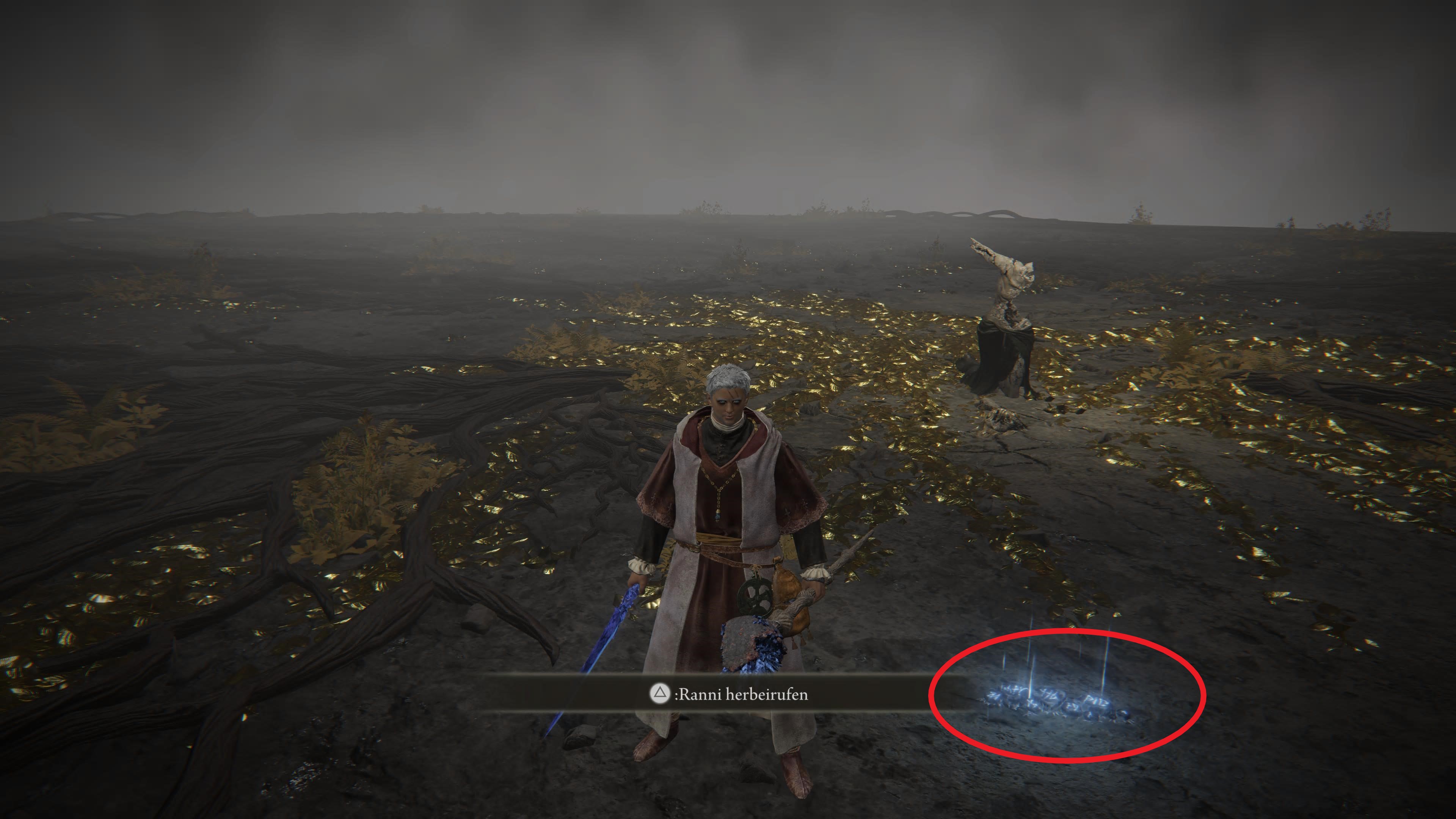 Elden%20Ring%20-%20Ranni%20herbeirufen.j