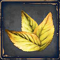 Hogwarts_Legacy_Pflanze_Blaetter_des_Malvenkrauts.gif